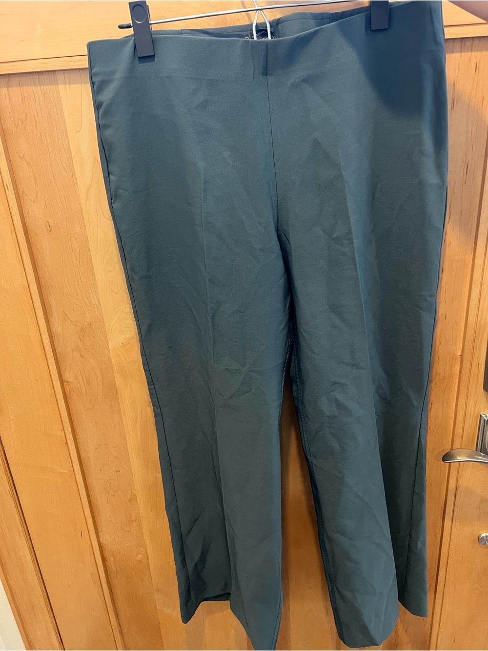 Adrianna Papell Men's Teal Dress Pants